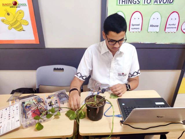 Acoustic sounds with plants - integrating technology and science (IGCSE project)